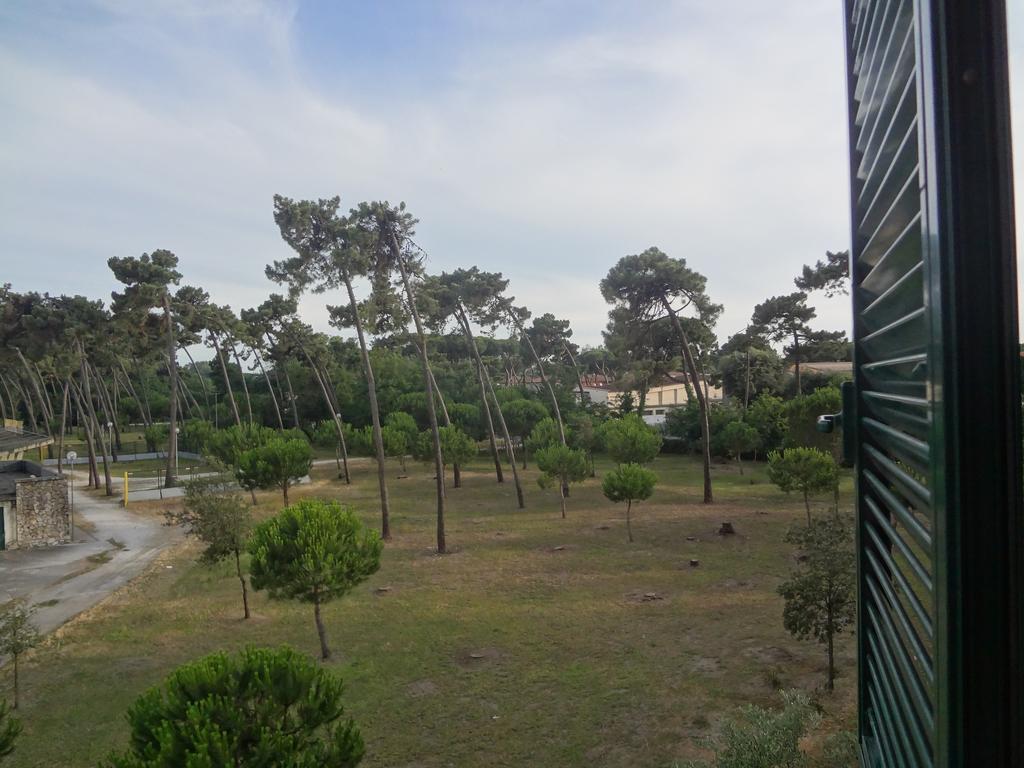 La Pineta Apartment Виареджо Экстерьер фото